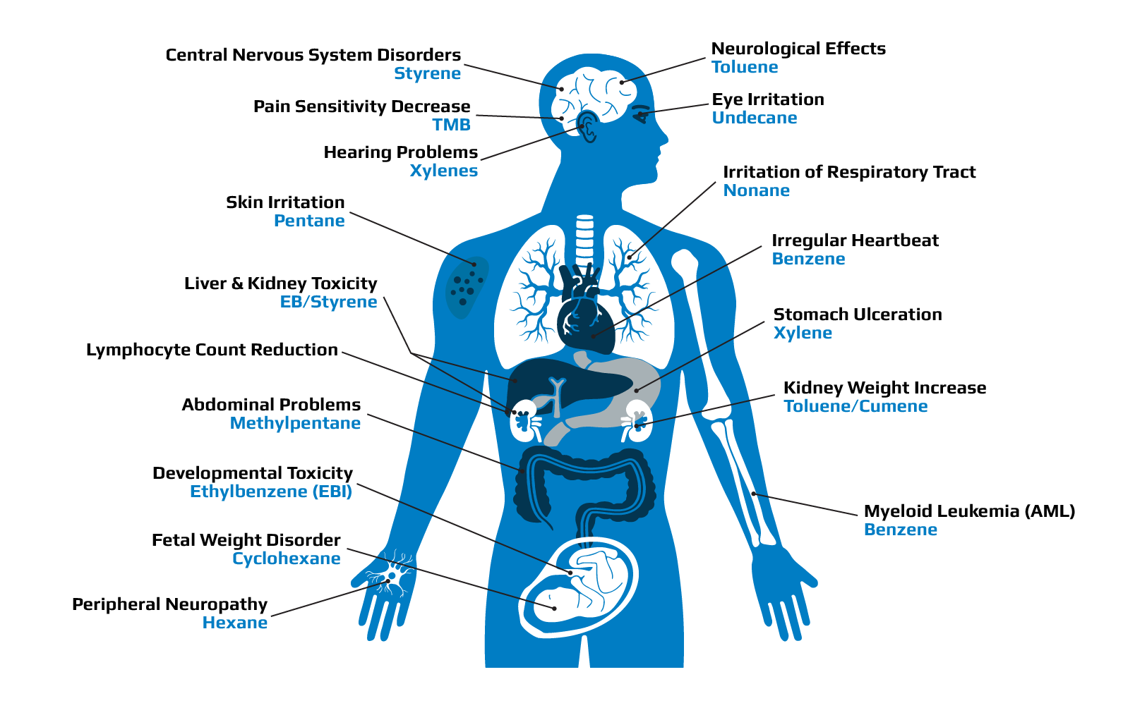 Impact of Volatile Organic Compounds on the Human Body Diagram detailing the impacts of Volatice Organic Compounds on the Human Body