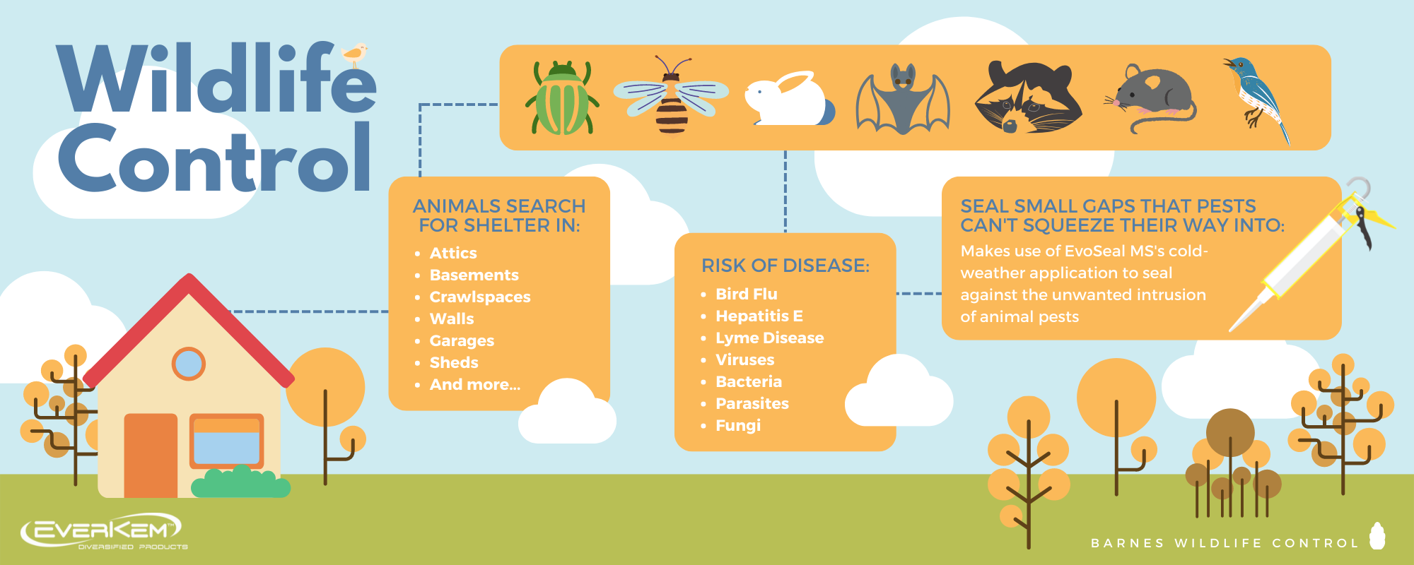 Wildlife Control wildlife control infographic