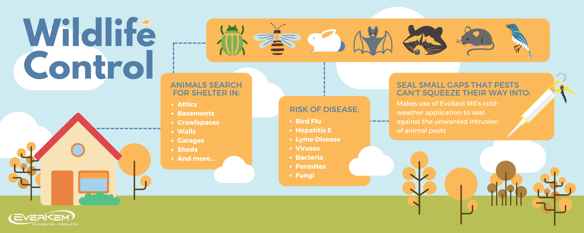 Wildlife Control Infographic wildlife control infographic